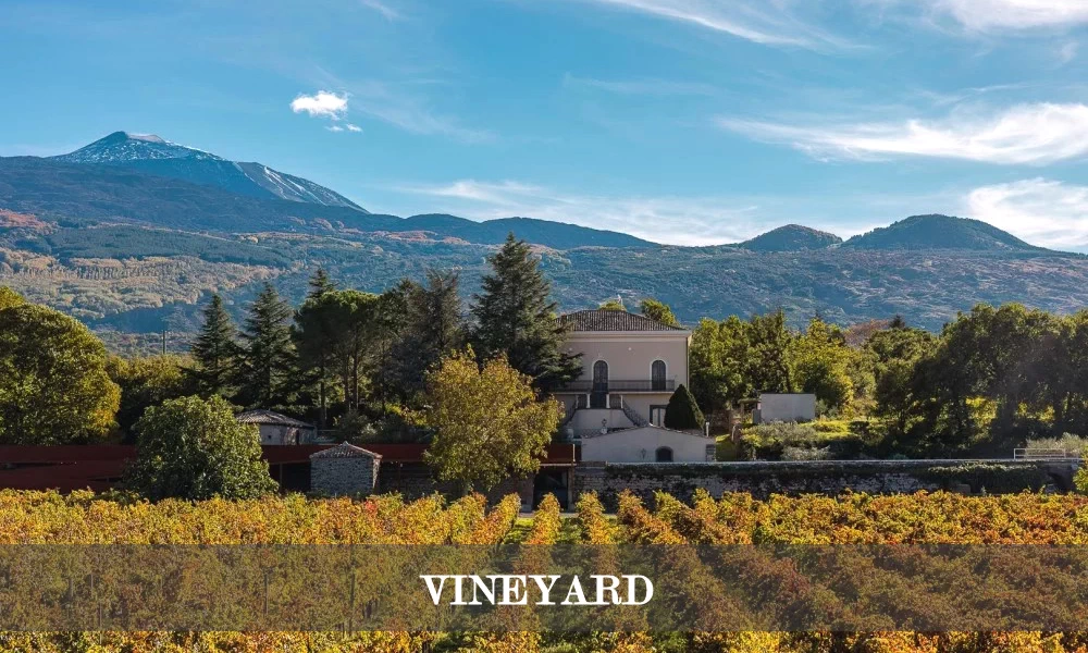 Wedding In Sicily Taormina